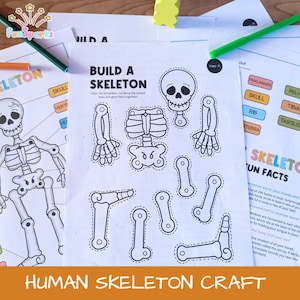 Puede incluir: Una hoja de actividades de manualidades con el texto "BUILD A SKELETON" y "HUMAN SKELETON CRAFT". La hoja incluye contornos de un cráneo, huesos y un diagrama de esqueleto. Lápices verdes y naranjas están sobre la superficie de madera.
