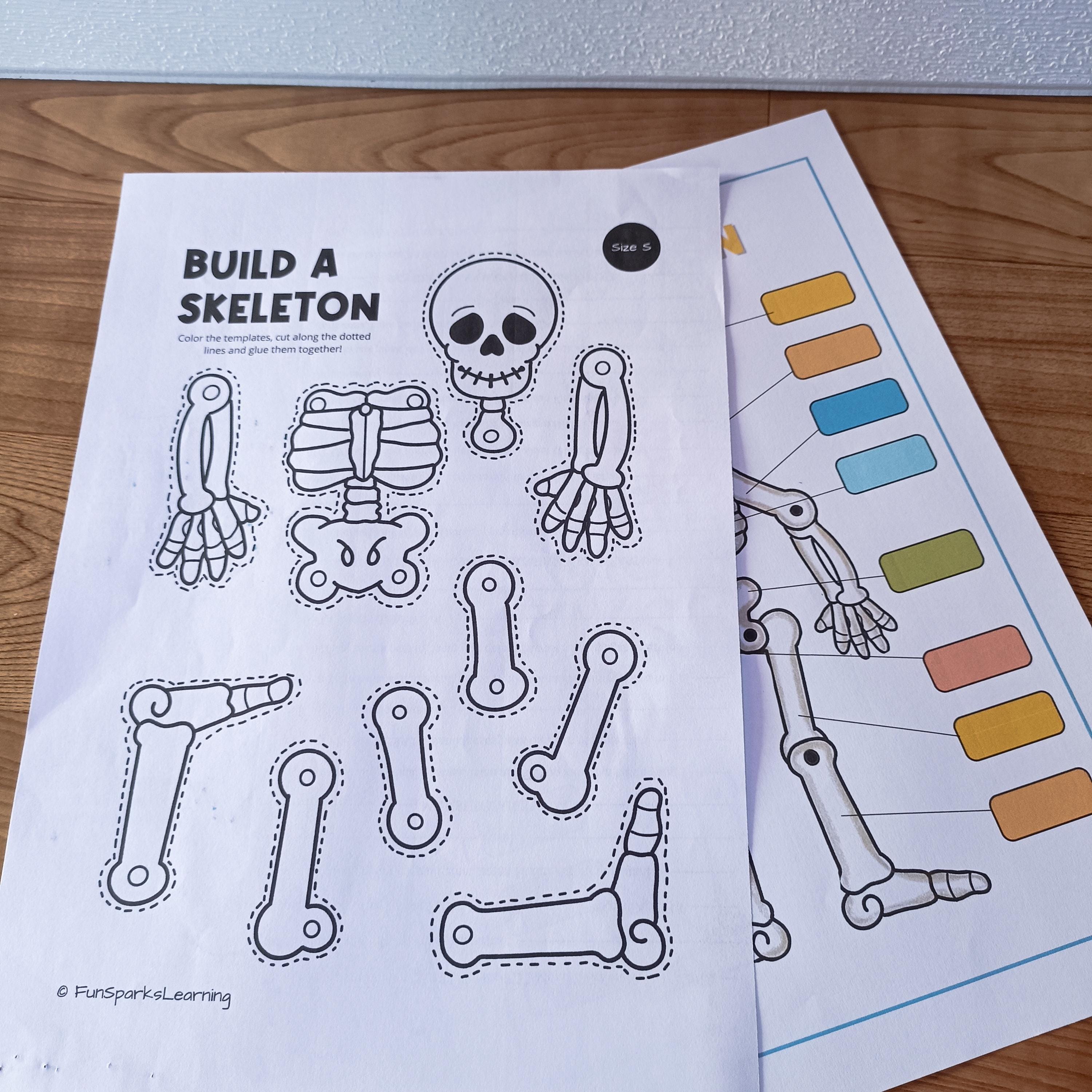 Skeleton Craft Printable: Anatomy Activity for Kids (PDF) - Etsy