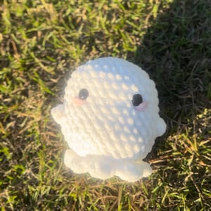 May include: A handmade, white crochet ghost doll with black eyes and pink cheeks. The ghost has a round body and a ruffled bottom, resting on a bed of green grass.