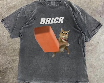 Funny Cat Throwing Brick T-shirt, Brainrot Meme Shirt, Cat Lover Gift