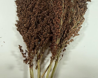 Sudan Grass Sprays for Hamsters & Small Animals | Natural Foraging Enrichment | 60g