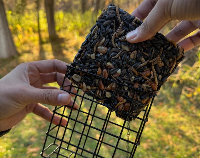Northwoods Delight Bird Wild Bird Seed Cake Refills 6 Pack | Cage Feeder Refill for Backyard Birds | Handmade Minnesota Bird Food Gift