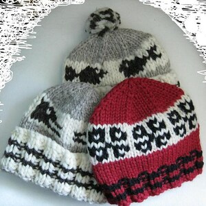 Peut inclure: Gros plan sur trois bonnets d'hiver tricotés. Les bonnets sont dans les tons de gris, rouge, noir et blanc. Un bonnet a un pompon. Les bonnets présentent des motifs et des dessins géométriques.