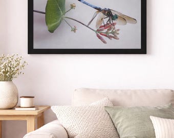 緑のトンボ | 自然の壁アート、アクリルプリント - Etsy 日本