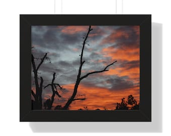 Póster fotográfico original de atardecer / Impresión artística de silueta de árbol / Fotografía de paisaje de cielo dramático / Arte mural natural del fotógrafo