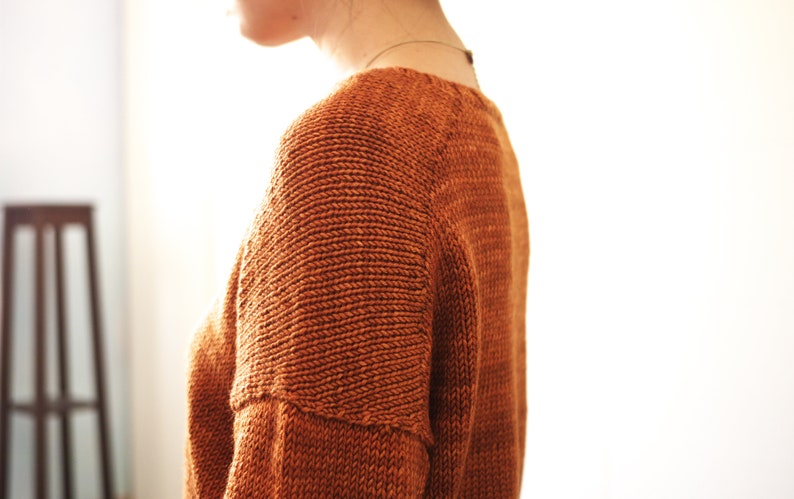 May include: A close-up of a person wearing a rust-colored knitted sweater with a textured stitch pattern. The sweater has a round neckline and long sleeves.