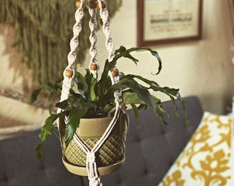 Standard Macrame Plant Hanger