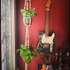 Double Plant Hanger image 1