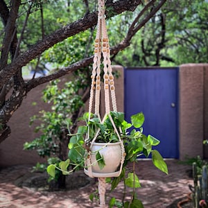 May include: A white ceramic planter with a green plant hanging from a macrame plant hanger with wooden beads. The hanger is attached to a tree branch.