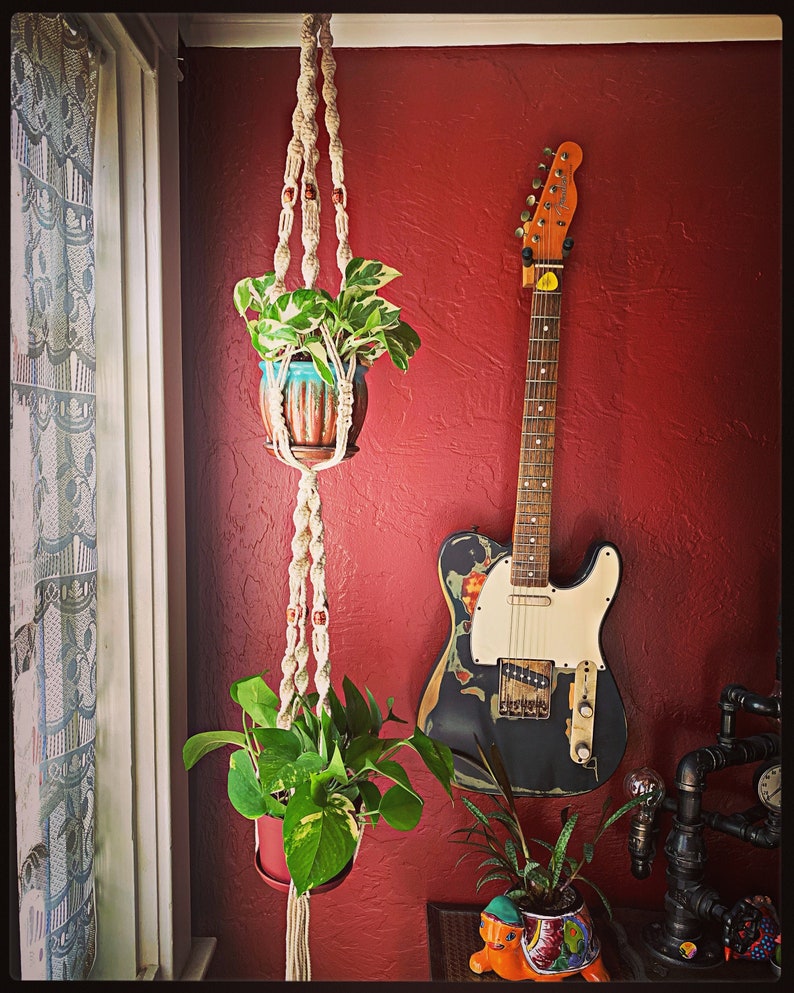 Double Plant Hanger image 1