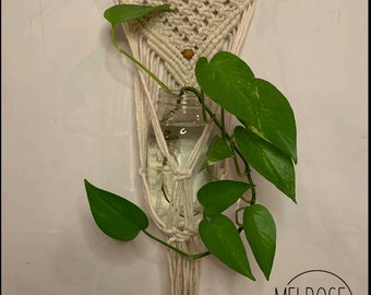 Wall Plant Hanger DIY kit