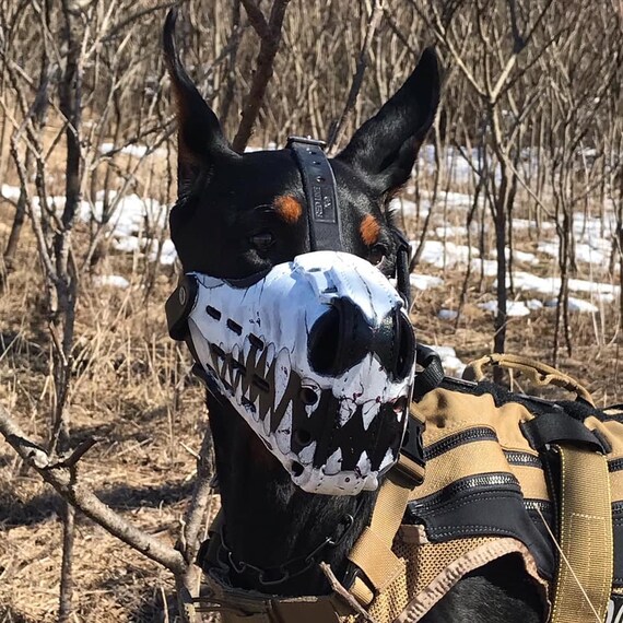 painted muzzle