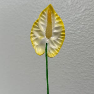 May include: A single artificial anthurium flower with a yellow-edged, white spathe and a yellow spadix. The flower is on a green stem.