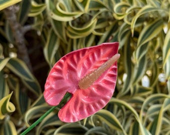 Anthrium hair pick Pink Forever Pua