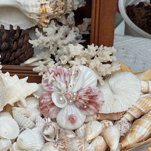 Seashell Barrettes - Etsy display picture 1