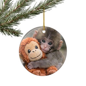 Punch The Monkey Ceramic Mug, Viral Panchi-kun Japanese Macaque Cup, Emotional Support Animal Lover Gift, Hang In There Encouragement Mug Ornament