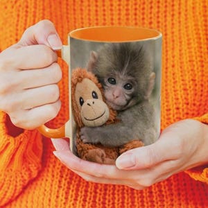 May include: A ceramic mug with a picture of a baby monkey cuddling a soft toy monkey. The mug has an orange interior and handle. The background is a soft, neutral colour.