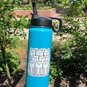 May include: A turquoise water bottle with a black lid and handle. A white sticker with a group of cartoon cats is affixed to the bottle. The bottle is in front of a background of green foliage.