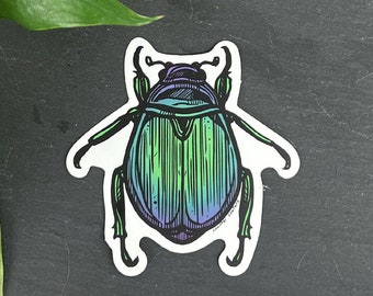 Skarabäus Käfer Sticker: Matte Vinyl Insekt Aufkleber