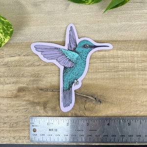 Pegatina de colibrí para botella de agua - Calcomanía - Vinilo - Pájaro - Portátil - Regalo de colibrí - Regalo de pájaro - Calcomanía de pájaro - Trochilidae