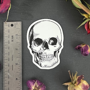 Matte Sticker - Dark Aesthetic Skull Sticker - Skull Sticker