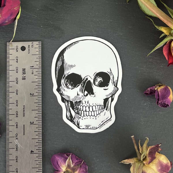 Matte Sticker - Dark Aesthetic Skull Sticker - Skull Sticker