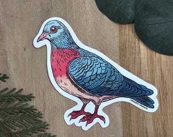 Pigeon Sticker - Waterproof & Scratch Proof Bird Decals