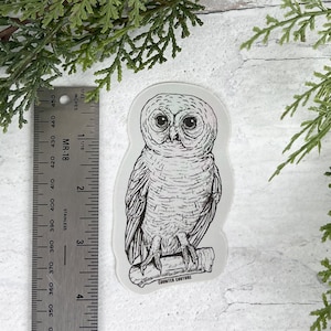 Whimsical Owl Sticker - Personalize Your Water Bottle! Owl Vinyl Decal - Gift for Bird Lover - Cute Owl Sticker