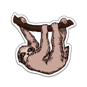 Adorable Sloth Vinyl Decal for Water Bottle or Laptop - Funny Gift for Sloth Lovers - Sloth Sticker
