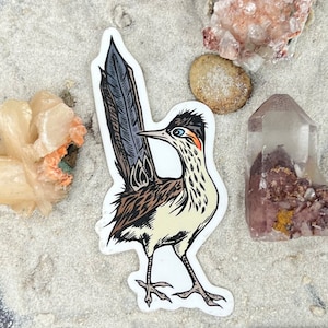 Peut inclure: Un autocollant représentant une illustration détaillée d'un coureur des routes, un oiseau à longue queue, aux plumes brunes et blanches, et à la tête bleue et orange. L'oiseau est debout sur un fond blanc.