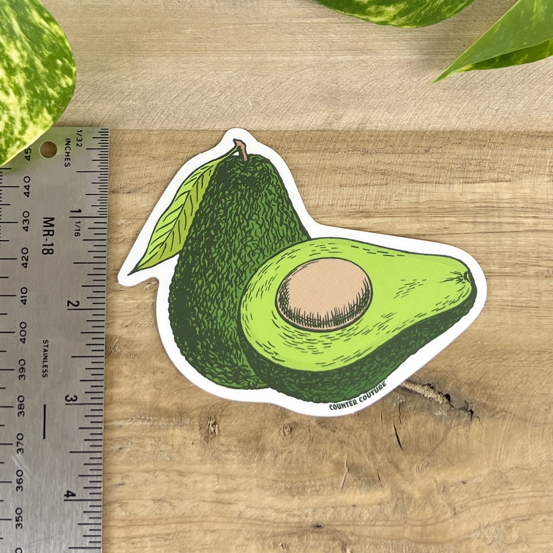 Avocado Sticker - Vinyl Decal - Etsy