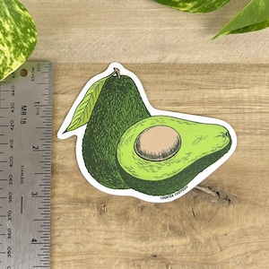 Avocado Sticker - Vinyl Decal