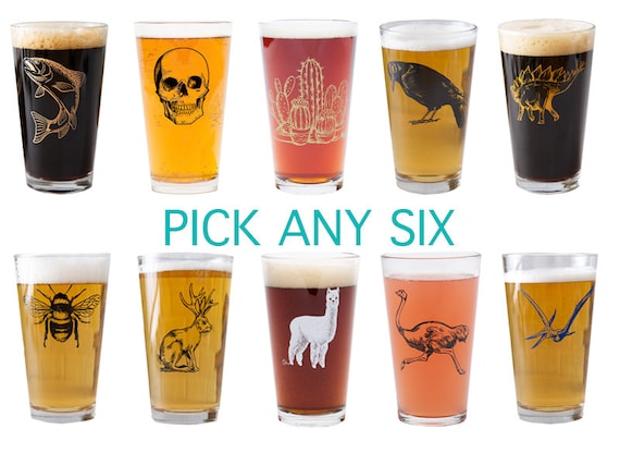 Mix or Match Pint Glasses Beer Glasses Set of 6 Gifts for Men 