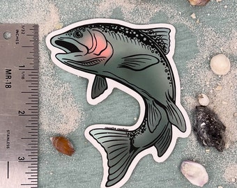 Sticker forel: sticker vliegvissen voor tacklebox