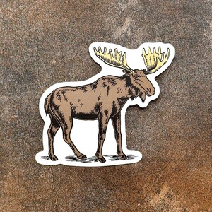 Majestic Moose Decal - Customize Your Gear with Style - Moose Vinyl Sticker - Wildlife Sticker