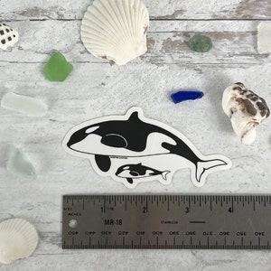 Orca Whale Sticker for Water Bottle - Decal - Vinyl - Killer Whale - Laptop - Whale Gift - Marine Life Gift -  Aquatic Decal