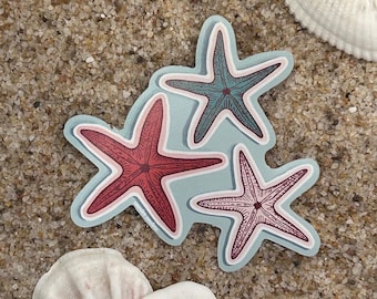Sea Star-sticker: waterdichte en krasbestendige strandstickers