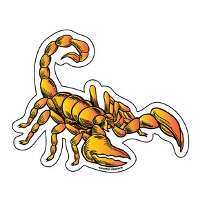 WYPRZEDAŻ! Naklejka Skorpion