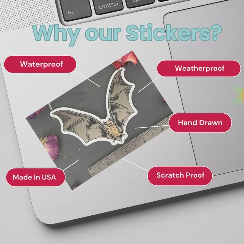 Cat Lover Sticker: Matte Vinyl Decal for Laptop or Water Bottle image 7