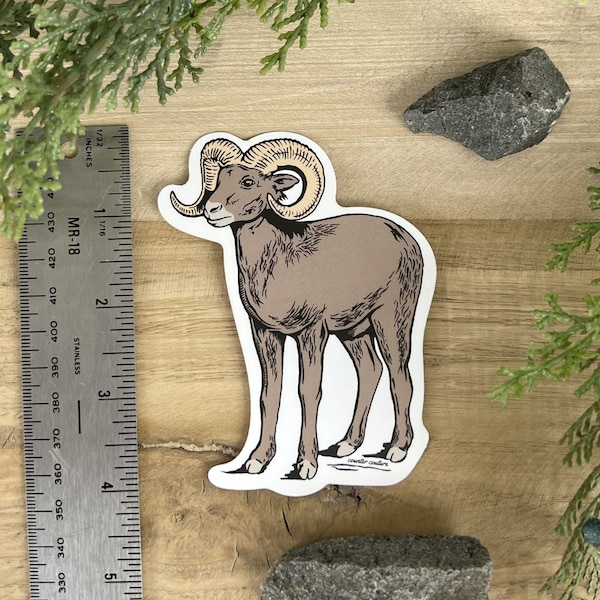 Big Horn Sheep Sticker for Water Bottle - Decal - Vinyl - Ram - Laptop - Big Horn Sheep Gift - Ram Gift -  Animal Decal