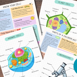 Può includere: Poster didattici di biologia con diagrammi dettagliati di cellule vegetali e animali, cloroplasti e un microscopio. I poster includono parti etichettate e definizioni. Il testo "KNOW YOUR CELLI" e "19 pages" è visibile.