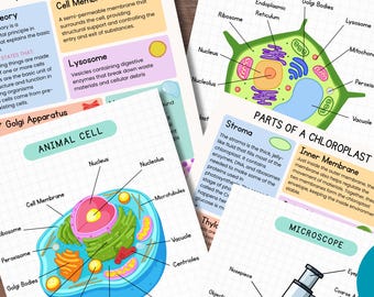 Cell Structure Diagram Printable Bundle Plant Cell Animal Cell Microscope Biology Lesson Kids Homeschool Activity Microbiology Earth Science