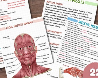 Le guide d'étude du système musculaire Cahier d'exercices sur l'anatomie Notes d'étude des muscles du corps humain pour les élèves École à la maison