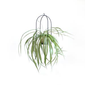 Birdcage plant holder large