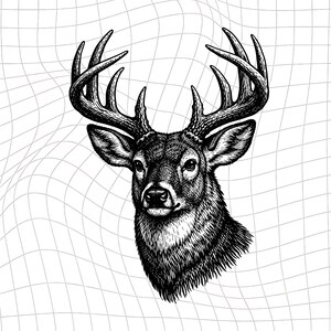 Peut inclure: Une illustration en noir et blanc de style encre représentant une tête de cerf avec de grands bois détaillés. Le cerf est centré sur un fond présentant un motif de grille ondulée et déformée de fines lignes noires sur un champ blanc.