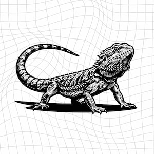 May include: A black and white graphic illustration of a bearded dragon lizard standing in profile. The lizard features detailed scales, a spiky throat pouch, and a long curved tail. The background consists of a white grid with distorted lines.