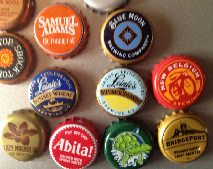 Bottle Cap Refrigerator Craft Beer Soda Etsy