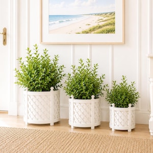 May include: Three white, woven-patterned planters of varying sizes, each filled with vibrant green foliage. The planters are arranged on a light brown rug, with a framed beach scene in the background. The scene evokes a coastal, farmhouse aesthetic.