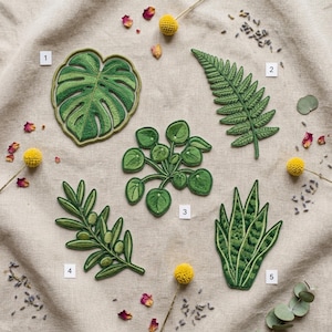 May include: Five embroidered plant patches in shades of green. The patches include a monstera leaf, fern, pilea, olive branch, and snake plant. The patches are on a beige linen background with dried flowers.