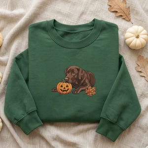 Sweat-shirt brodé personnalisé avec le nom de votre chien, pull-over citrouille d'Halloween, pull d'automne, cadeau pour les amoureux des animaux, chemise d'automne